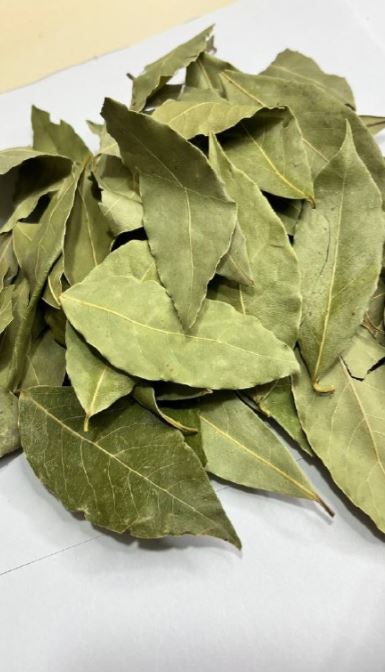 برگ بو