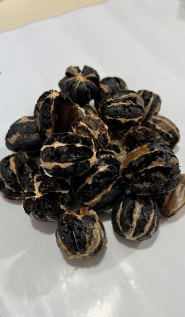 لیمو ببری