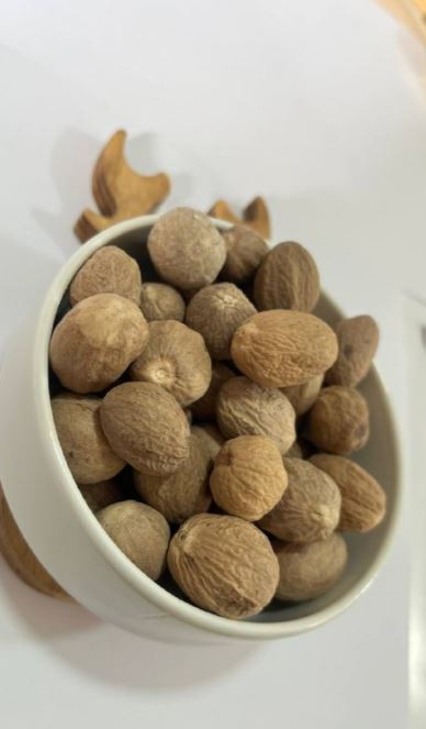 جوز بایان